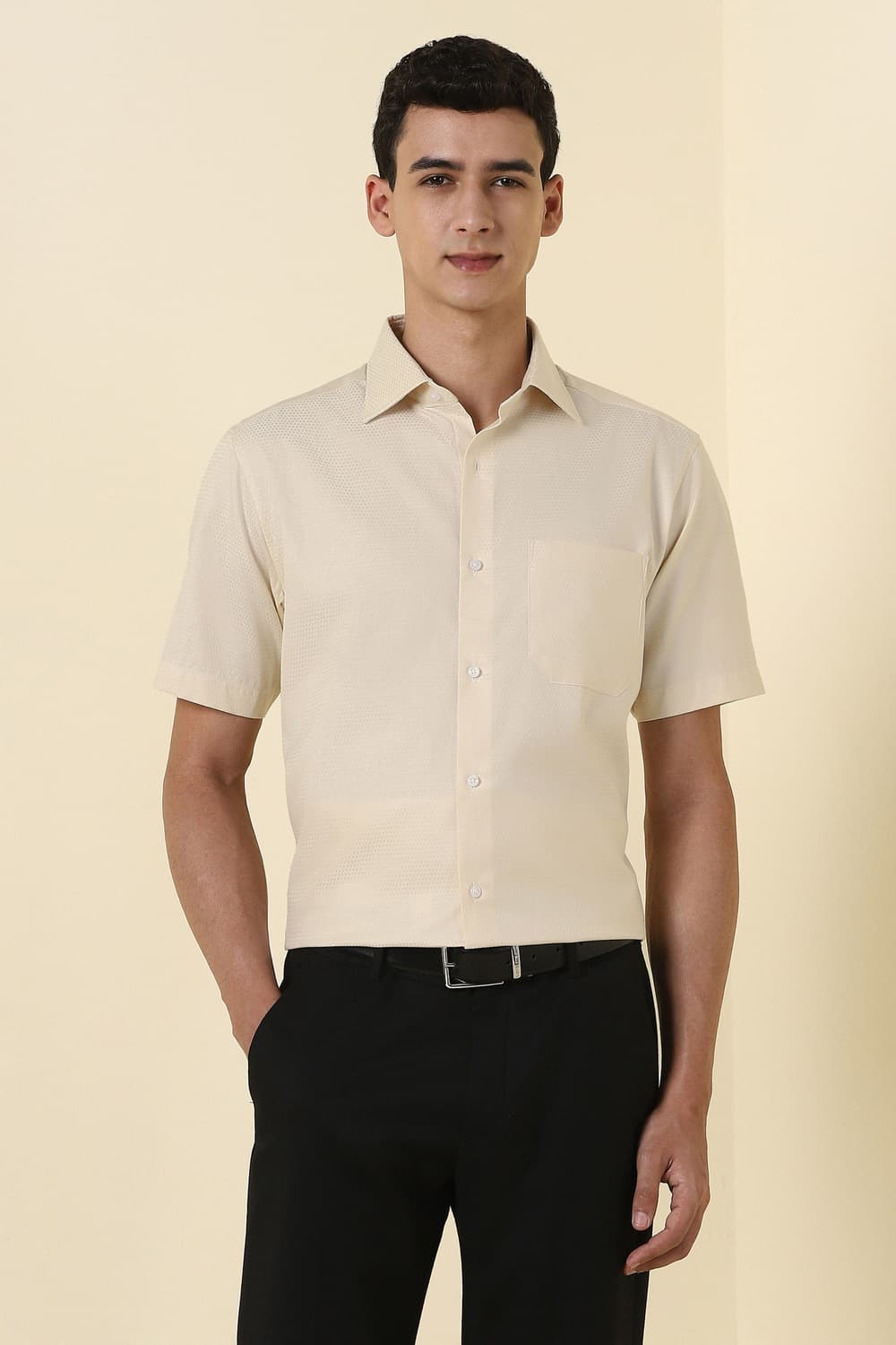 Men Beige Textured Half Sleeves Formal Shirt